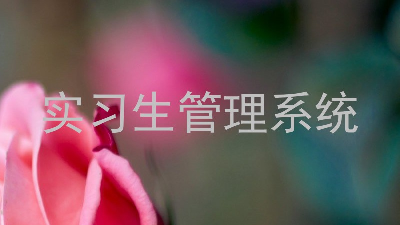实习生管理系统