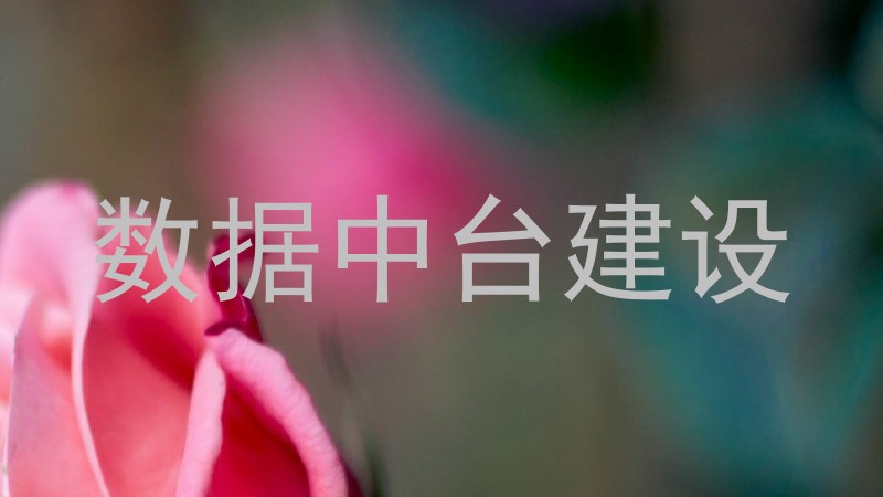 数据中台建设