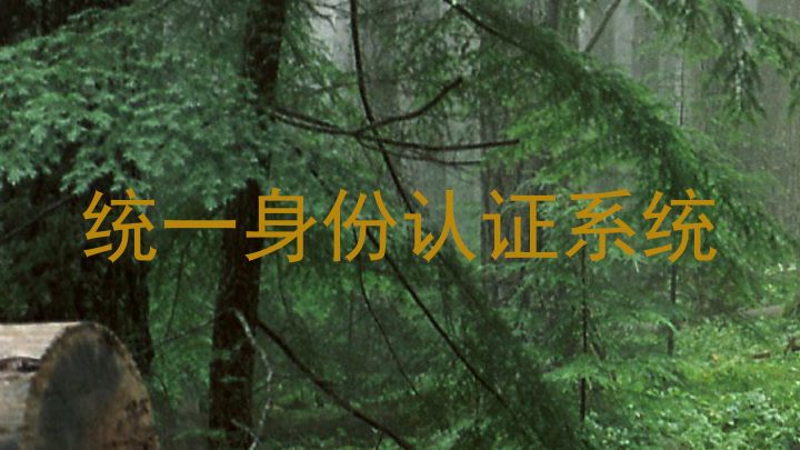 统一身份认证系统
