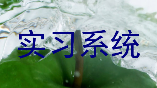 实习系统