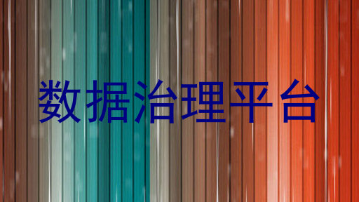 数据治理平台