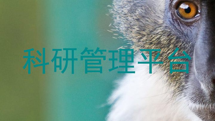 科研管理平台