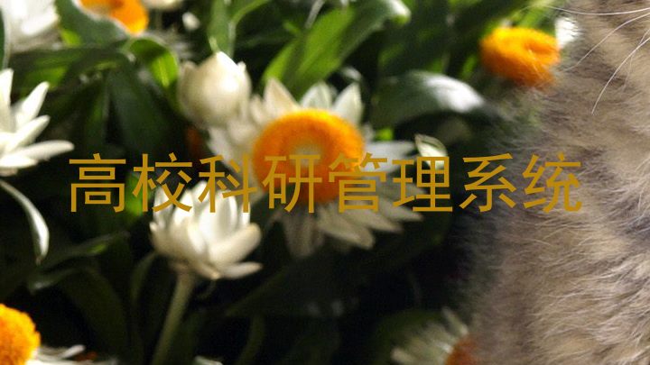 高校科研管理系统