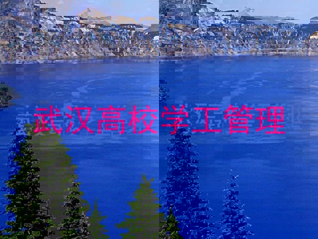 武汉高校学工管理