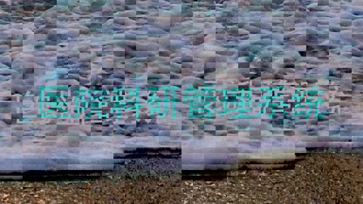 医院科研管理系统