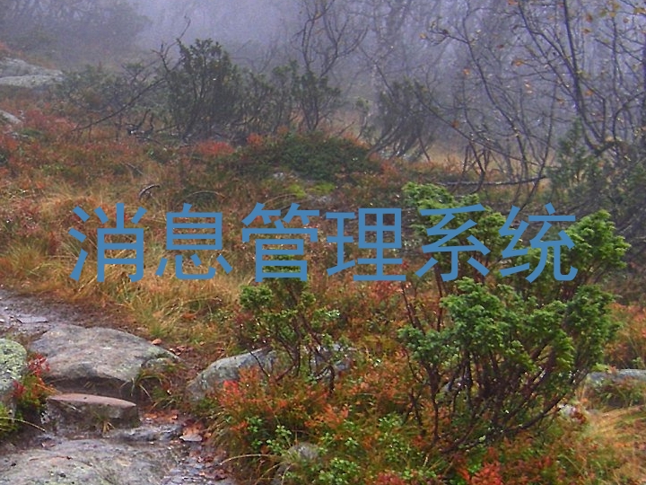 消息管理系統(tǒng)