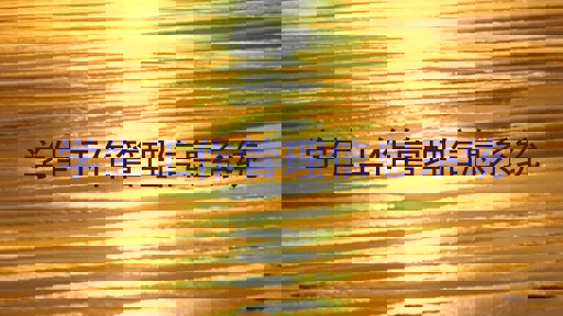学生工作管理信息系统