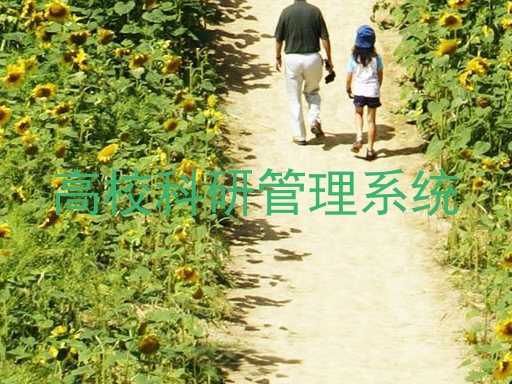 高校科研管理系统
