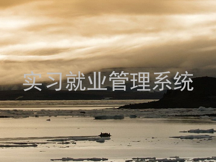 实习就业管理系统