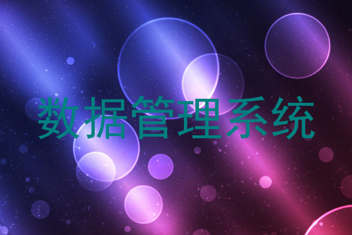 数据管理系统