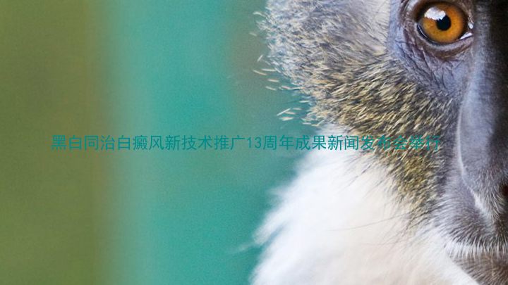 黑白同治白癜风新技术推广13周年成果新闻发布会举行