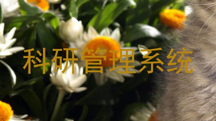 科研管理系统