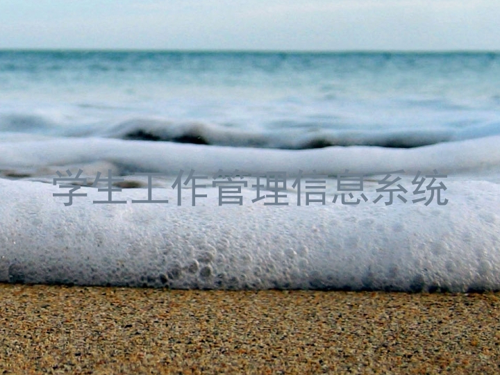 学生工作管理信息系统