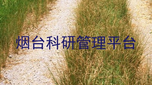 烟台科研管理平台