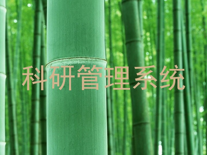 科研信息管理系统