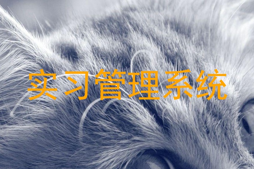 实习管理系统