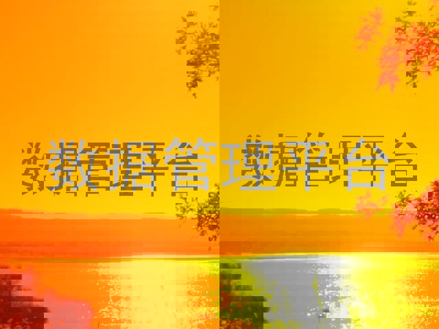 数据管理平台