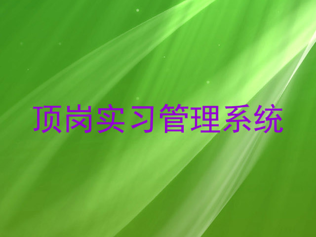 顶岗实习管理系统
