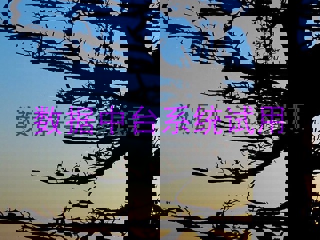 数据中台系统试用