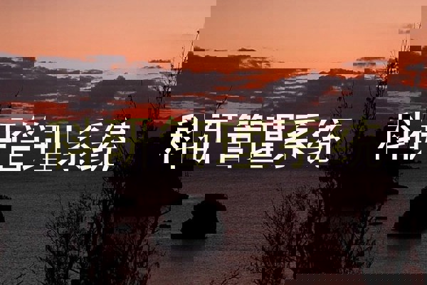 科研管理系统