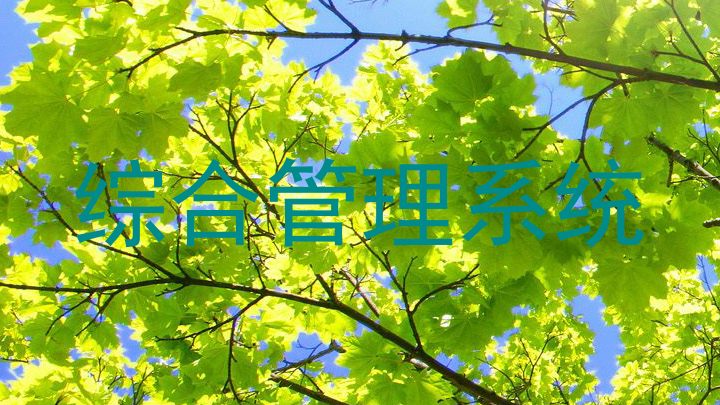 综合管理系统