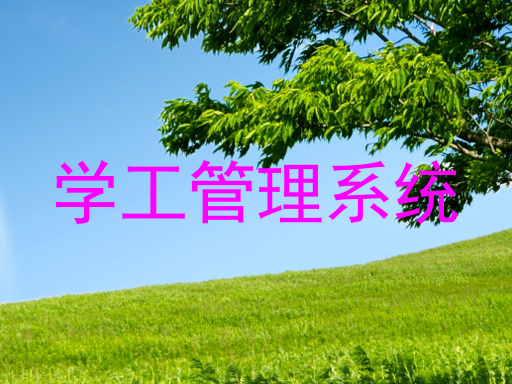 学工管理系统