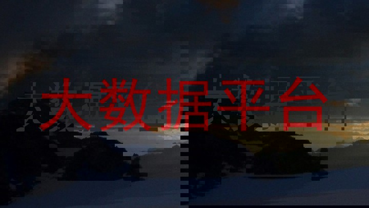 大数据平台