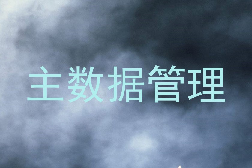 主数据管理