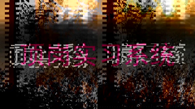 顶岗实习系统