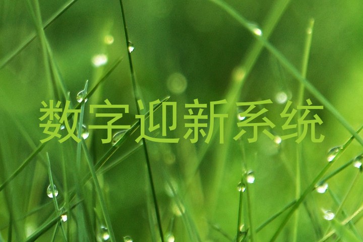 数字迎新系统