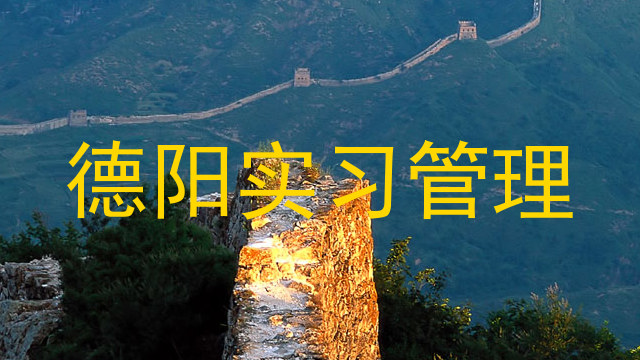 德阳实习管理