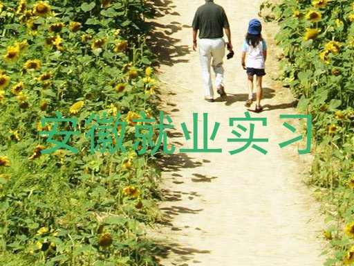 安徽就业实习
