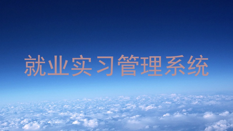 就业实习管理系统