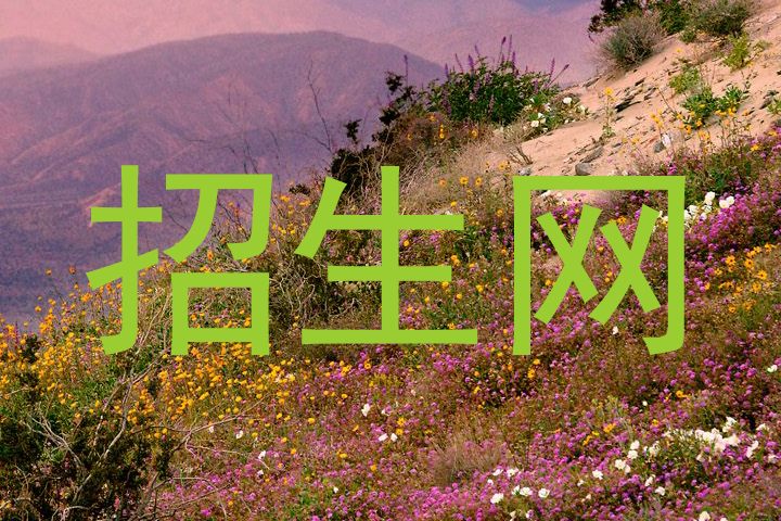 招生网