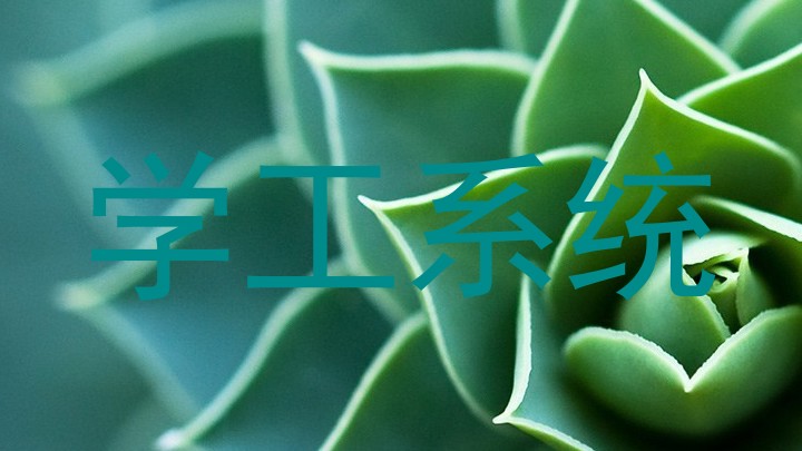 学工系统