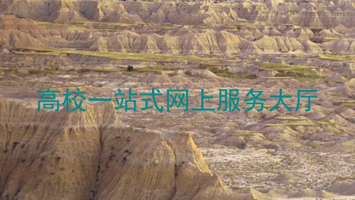 高校一站式网上服务大厅