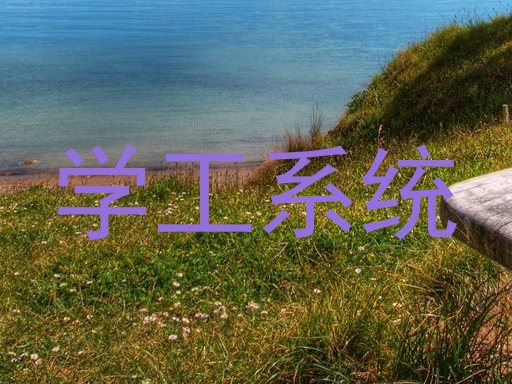 学工系统