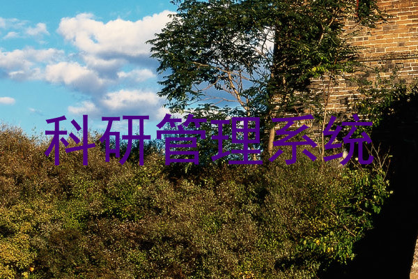 科研管理系统