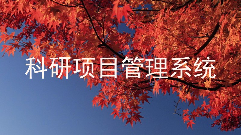 科研项目管理系统