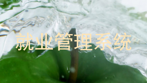 就业管理系统