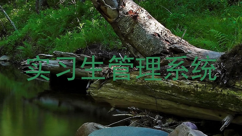 实习生管理系统
