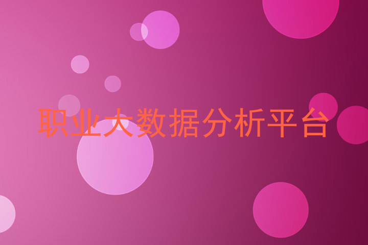 职业大数据分析平台