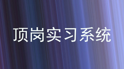 顶岗实习系统