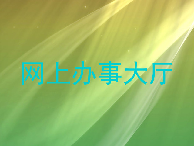 网上办事大厅