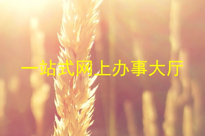 一站式网上办事大厅