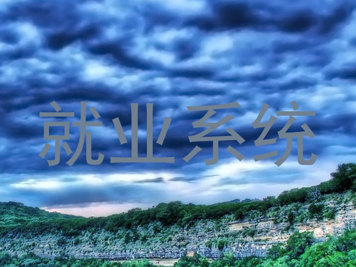 就业系统