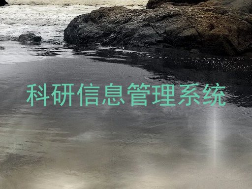科研信息管理系统