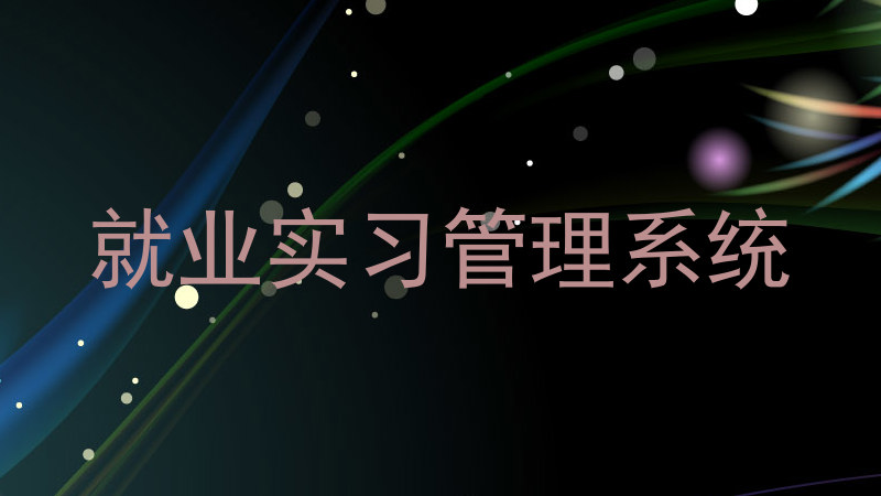 就业实习管理系统
