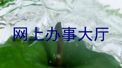 网上办事大厅