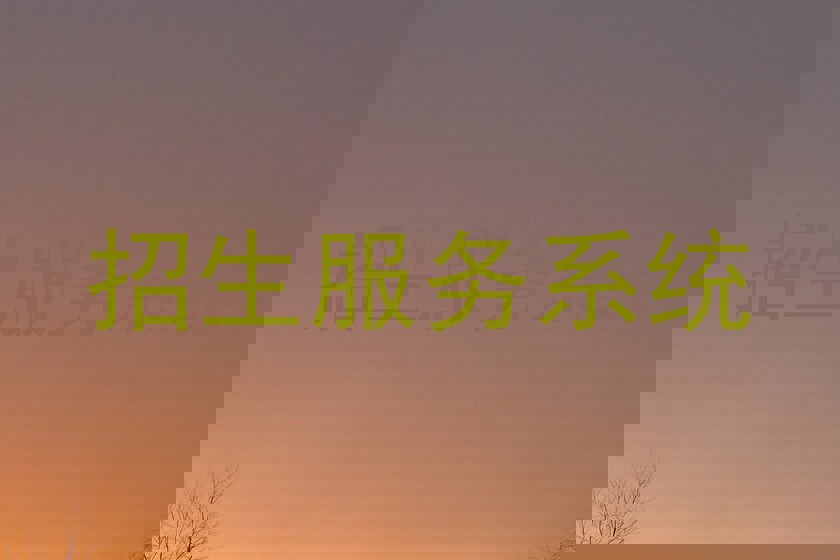 招生服务系统